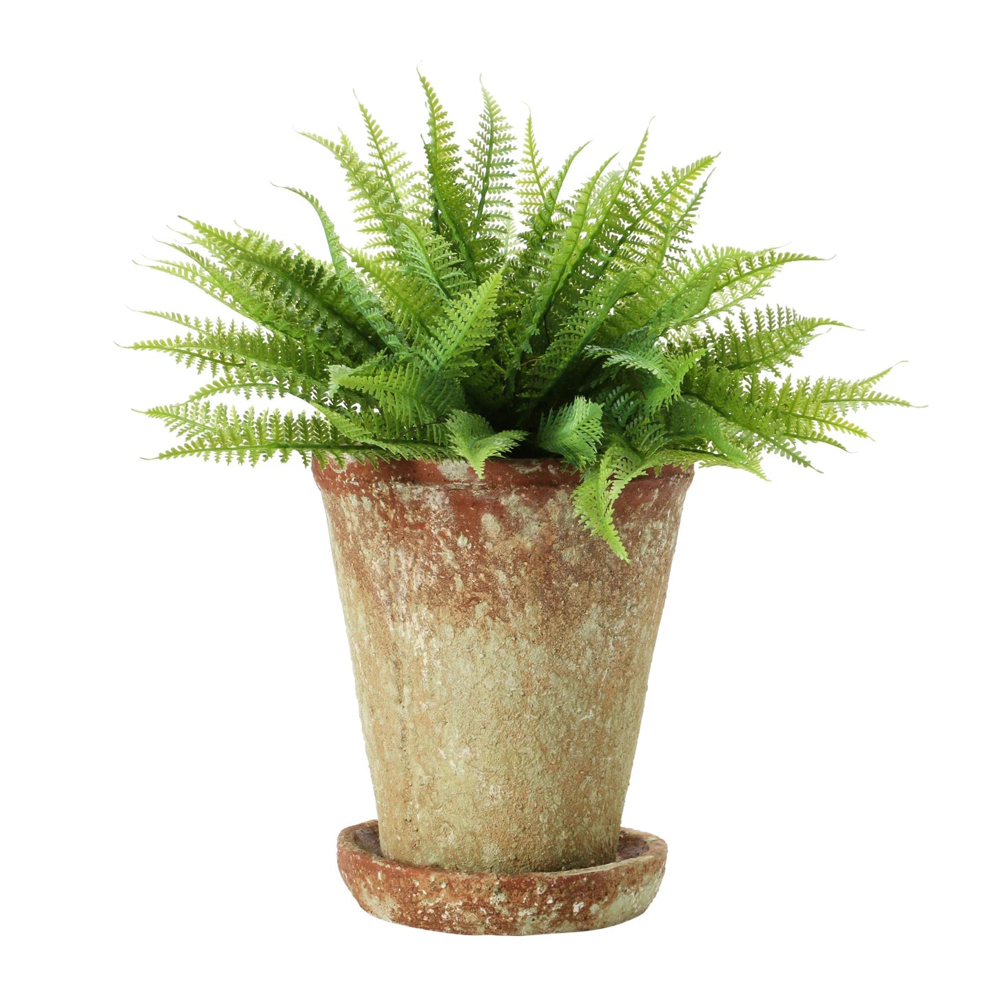 Distressed Cement Planter with Saucer, Set of 2, Holds 5" Pot